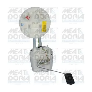 79317 MEAT & DORIA