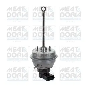 64070 MEAT & DORIA