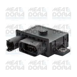 7285686 MEAT & DORIA