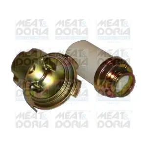 4799 MEAT & DORIA