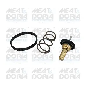 92952 MEAT & DORIA