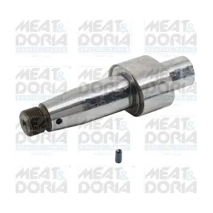 98284 MEAT & DORIA