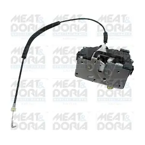 31324 MEAT & DORIA