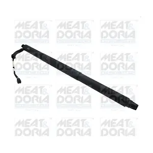 301039 MEAT & DORIA