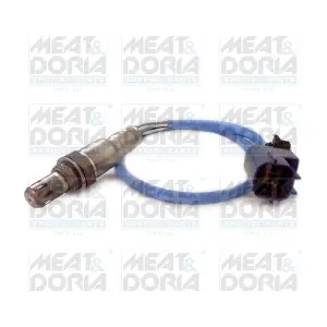 MEAT & DORIA 81917