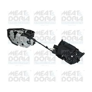 31235 MEAT & DORIA