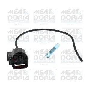 25574 MEAT & DORIA