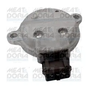 871004 MEAT & DORIA