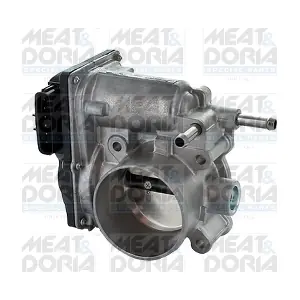 89335 MEAT & DORIA