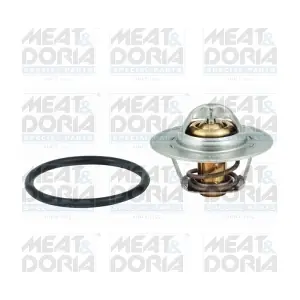 92545 MEAT & DORIA