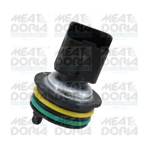 825025 MEAT & DORIA