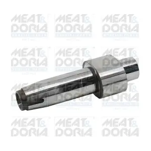 98268 MEAT & DORIA
