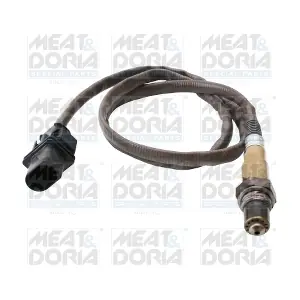 811084 MEAT & DORIA