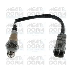 MEAT & DORIA 811112