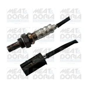 81675 MEAT & DORIA