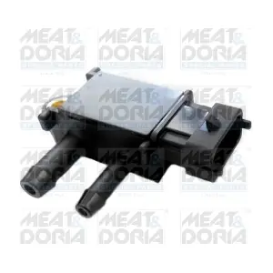 82579 MEAT & DORIA