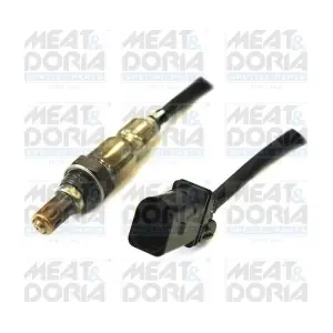 81751 MEAT & DORIA