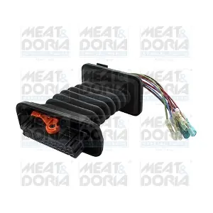 25306 MEAT & DORIA