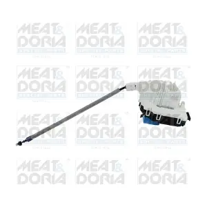 31720 MEAT & DORIA
