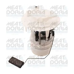 77913 MEAT & DORIA