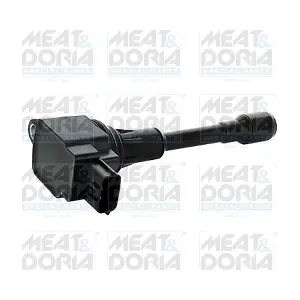MEAT & DORIA 10642