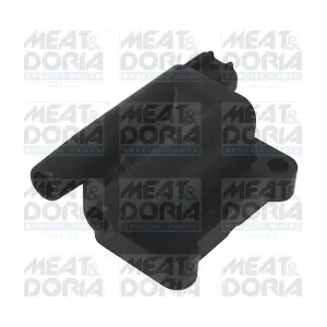 10671 MEAT & DORIA