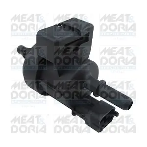 9889 MEAT & DORIA