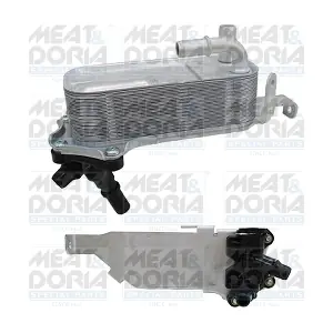 95248 MEAT & DORIA
