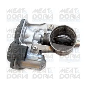 89294 MEAT & DORIA
