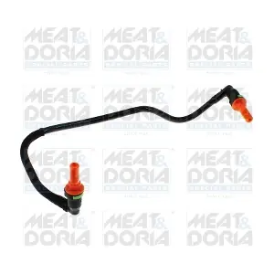 98237 MEAT & DORIA