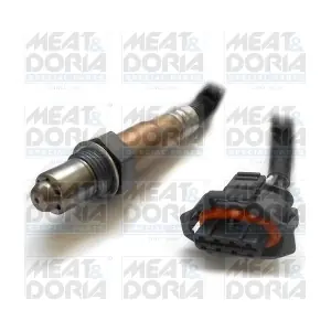 MEAT & DORIA 81746