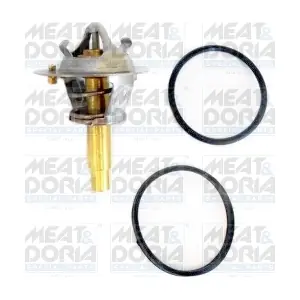 92695 MEAT & DORIA