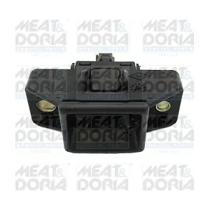 31303 MEAT & DORIA
