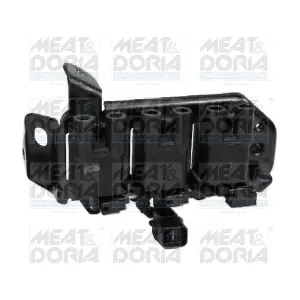 10404 MEAT & DORIA