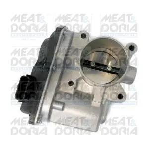 89268 MEAT & DORIA