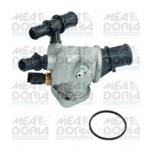 92500 MEAT & DORIA
