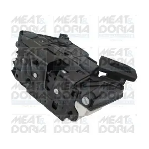 31384 MEAT & DORIA