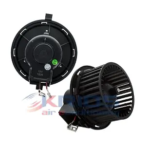 MEAT & DORIA K92283
