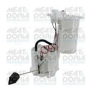 77937 MEAT & DORIA