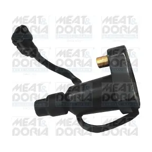 10631 MEAT & DORIA