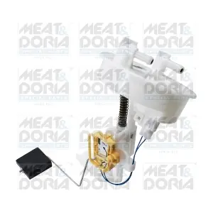 79503 MEAT & DORIA