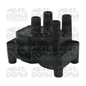 MEAT & DORIA 10628