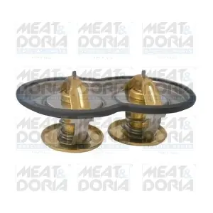 92852 MEAT & DORIA