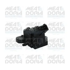 82134 MEAT & DORIA