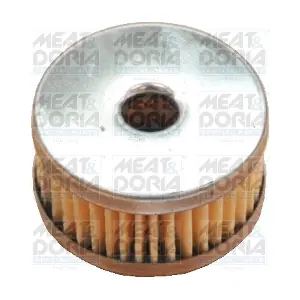 4874 MEAT & DORIA