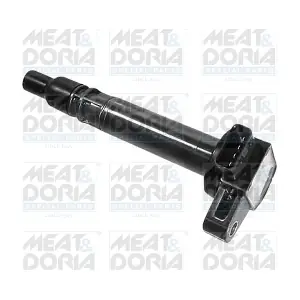 10559 MEAT & DORIA