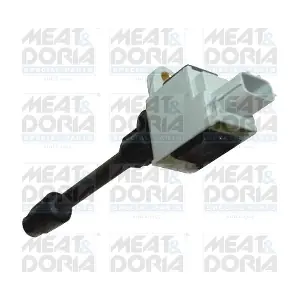 10726 MEAT & DORIA
