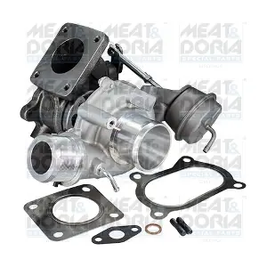 65045 MEAT & DORIA