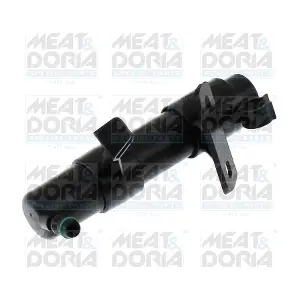 209139 MEAT & DORIA