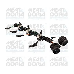 25493 MEAT & DORIA